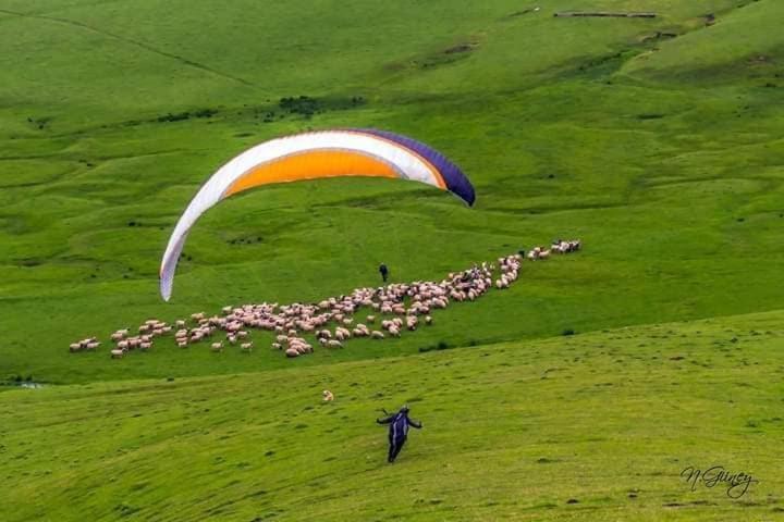 Yildiz Tepe Otel&Pansiyon Орду Экстерьер фото